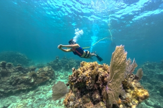 SNUBA Diving in Roatan – Beach Access